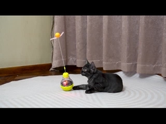 light buld cat toy