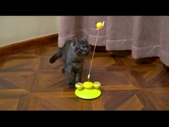 Donut Delight Cat Toy - Advanced Spring-Base Rotating Teaser