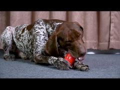 Squeaky Durable Rib Bone Doy