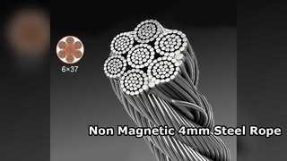 Dây thép không gỉ 4mm 316 không từ tính