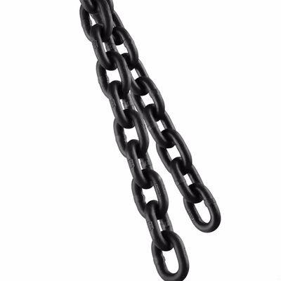 Giá tốt. Professional Lifting Chain for Safe and Precise Weight Lifting Applications trực tuyến