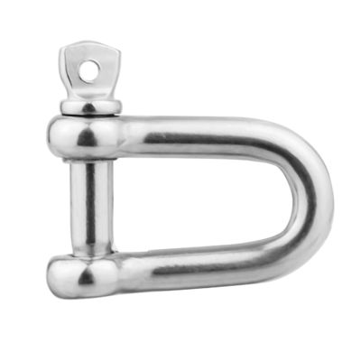 Giá tốt. General Industry Stainless Steel Chain Lifting D Shackle 304L 316L Rigging Hardware trực tuyến